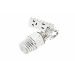 Термоэлемент TR 86 с выносным датчиком температуры для клапанов TR-N/TR-G Ридан 013G7086R