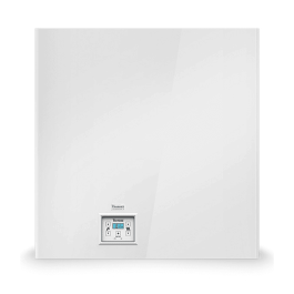 Настенный газовый котел Thermona Therm 24 KDZN 5 (55л.нерж)