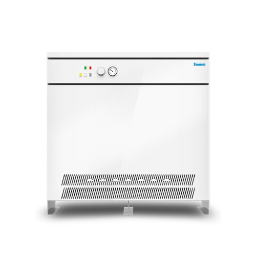 Напольный газовый котел Thermona Therm 120 E Напольный газовый котел Thermona Therm 120 E