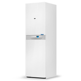 Настенный газовый котел Thermona Therm 28 LXZ.А 10 (100л.)