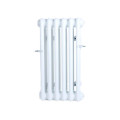 Радиатор трубчатый IRSAP Tesi 30565 14 секций Т30 3/4"