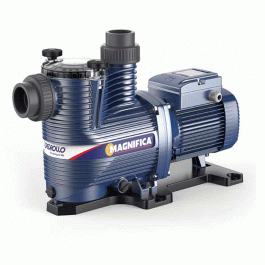 Насос для бассейна Pedrollo Magnifica 1