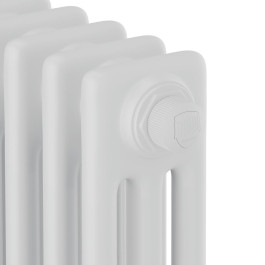 Дизайн радиатор стальной трубчатый Royal Thermo Insignia VC3030 22 секции