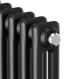 Дизайн радиатор стальной трубчатый Royal Thermo Insignia C2180 8 секций