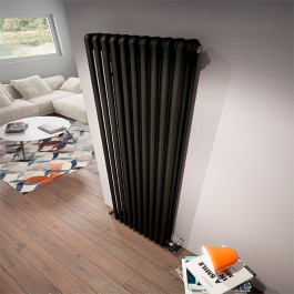 Радиатор трубчатый IRSAP Tesi 21800 10 секций №30 3/4" цвет чёрный