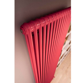 Радиатор трубчатый IRSAP Tesi 21800 6 секций Т30 3/4" цвет красный