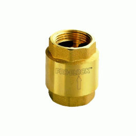 Обратный клапан магистральный Pedrollo VR1 1"