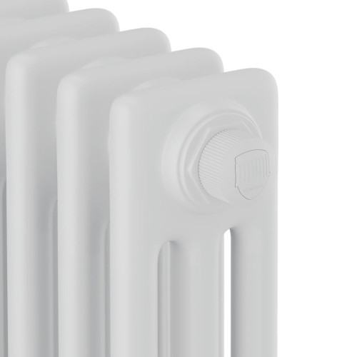 Дизайн радиатор стальной трубчатый Royal Thermo Insignia VC3180 6 секций