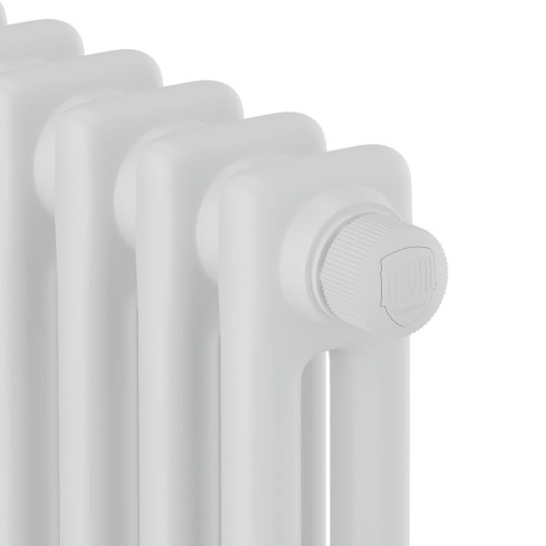 Дизайн радиатор стальной трубчатый Royal Thermo Insignia VC2180 10 секций