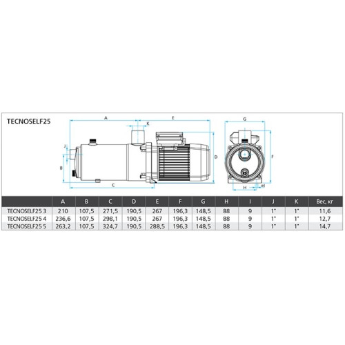 Поверхностный насос ESPA TecnoSelf 25 4M