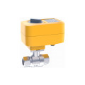 Кран с электроприводом Neptun Bugatti Profi 220B 1" арт.2205800