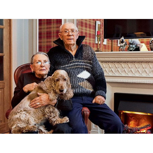 Dimplex Alexandria - Белый дуб