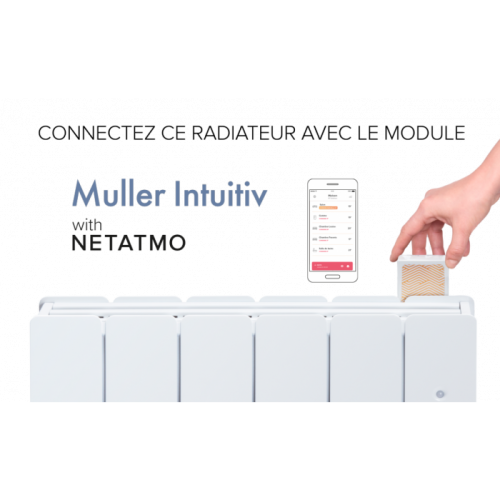 Noirot Palazzio Smart ECOcontrol 300