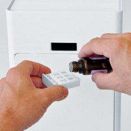 Stadler Form V-002 Viktor Black