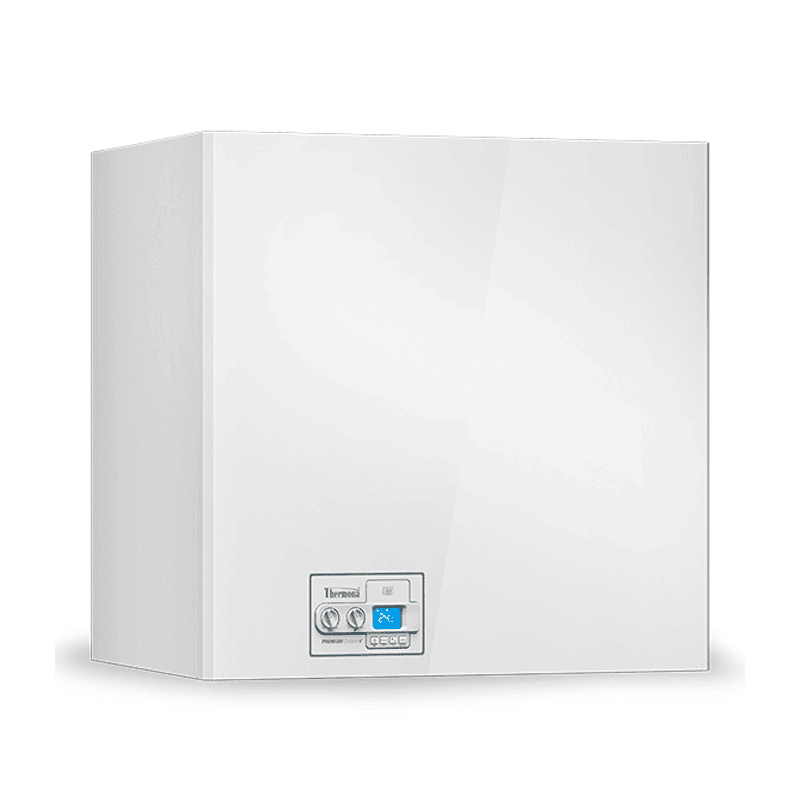 Настенный газовый котел Thermona Therm 25 KDZ 5 (55л.нерж)